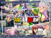 レトロゲーム女キャラ調教〜淫獄の異種受胎蹂躙〜